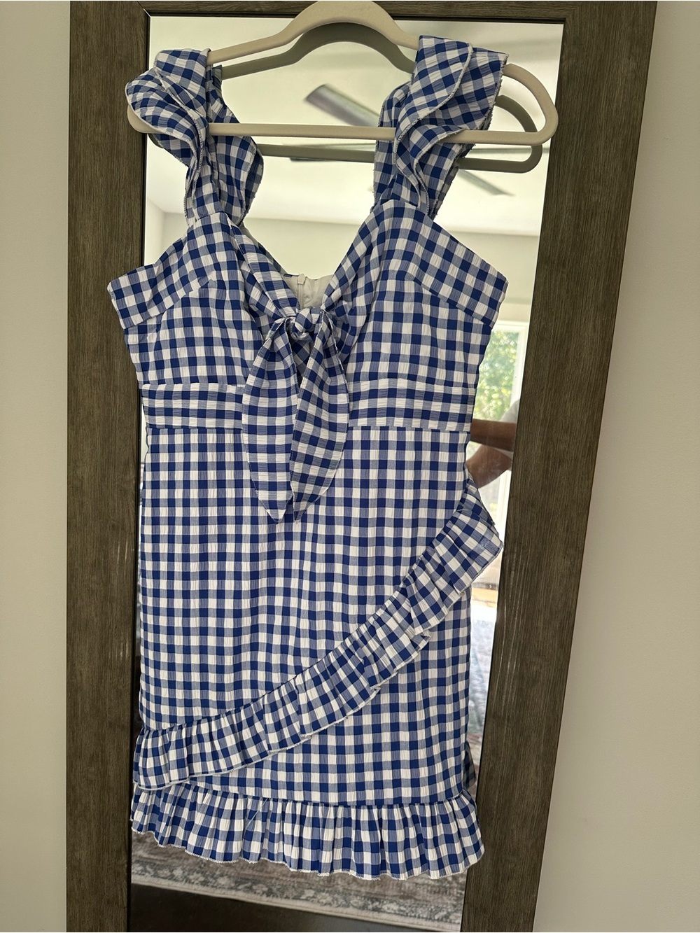 Tea n Cup Blue and White Gingham Button-Down dress